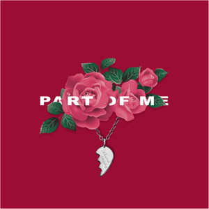 少妇高清精品毛片在线视频
