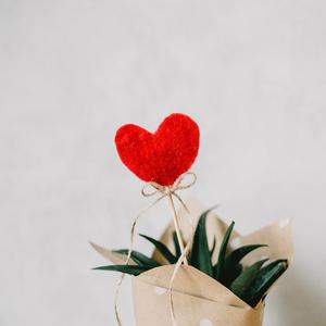 少妇高清精品毛片在线视频
