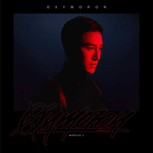 少妇高清精品毛片在线视频
